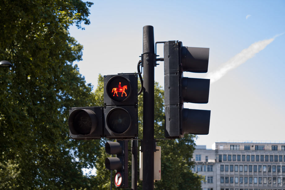 Traffic lights for horsemen in London